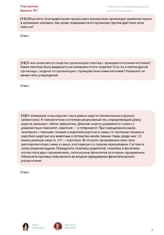 степенин егэ тренировочные варианты