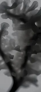 20 абстрактных заставок включают в себя как новые изображения, так и обои и...