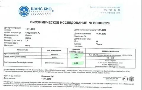 Креатинин в моче кота