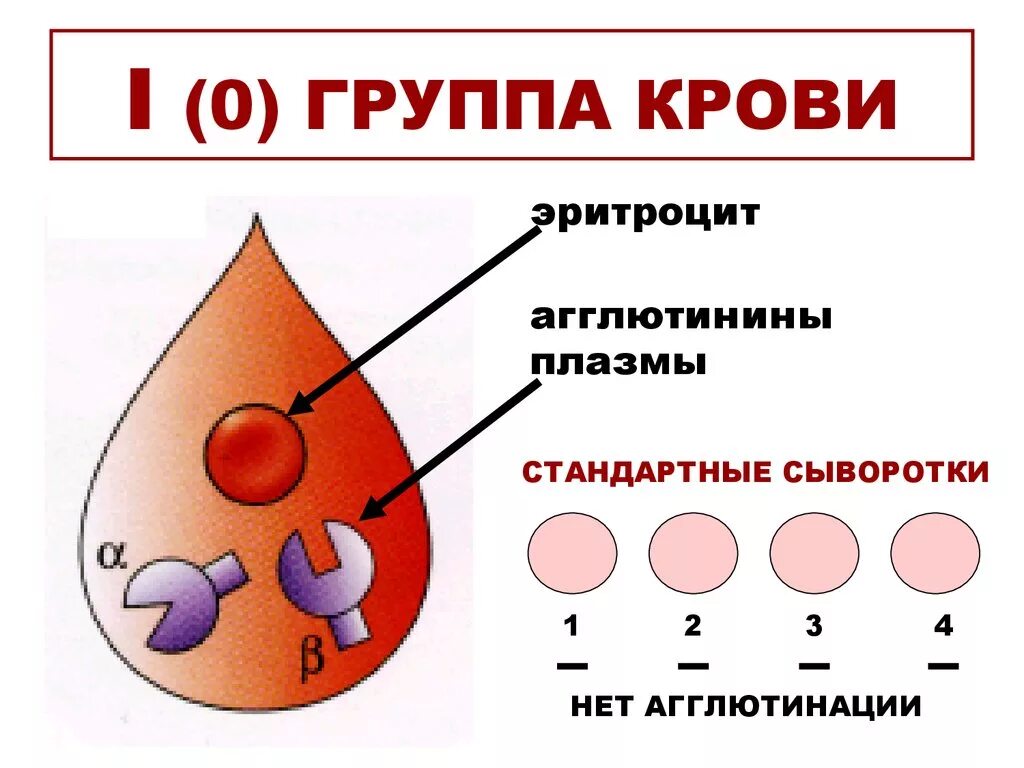 Группа крови легко. Группа крови 0 1. Группа крови 1 нулевая положительная. Крор группы. Первое положительное группа крови.