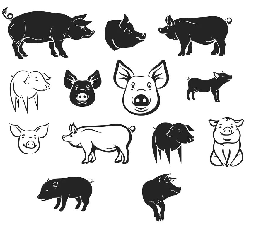 Файл pig pdf был выложен