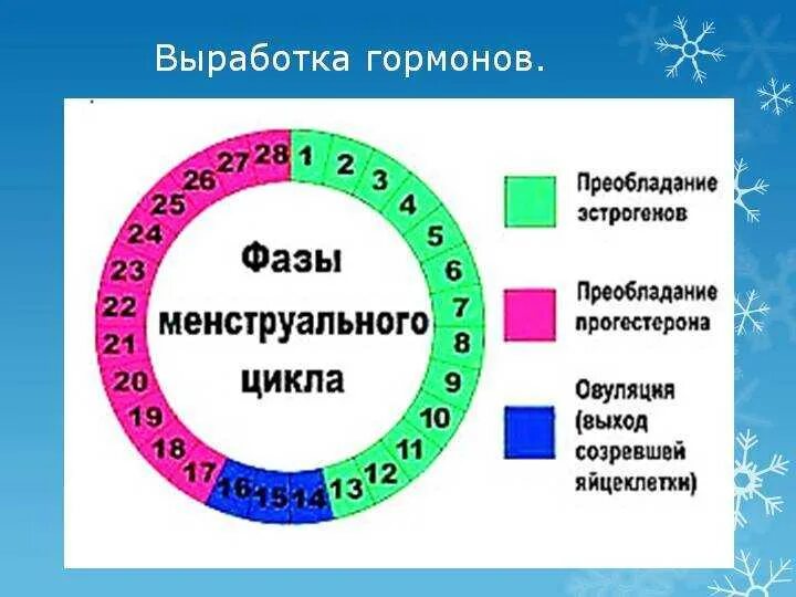 Возможно ли забеременеть во время