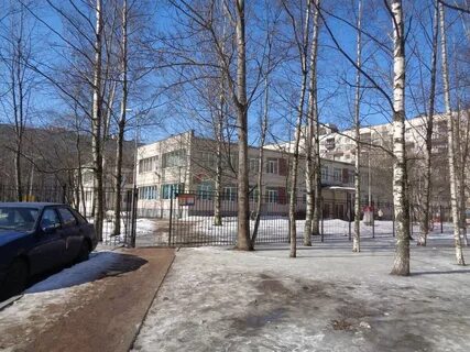 Школы спб телефоны