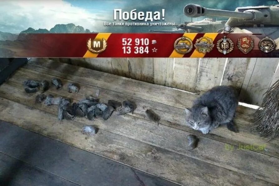 Коты на танках. Кошачий танк. World of Tanks юмор. WOT приколы.