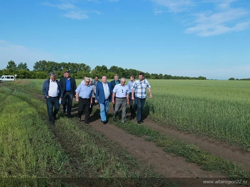 Погода в алтайском крае село сереброполь. Шелаболихинский Киприно. Киприно Алтайский край Шелаболихинский район. Село Новообинцево Шелаболихинского района Алтайского края. Село Омутское Шелаболихинский район.