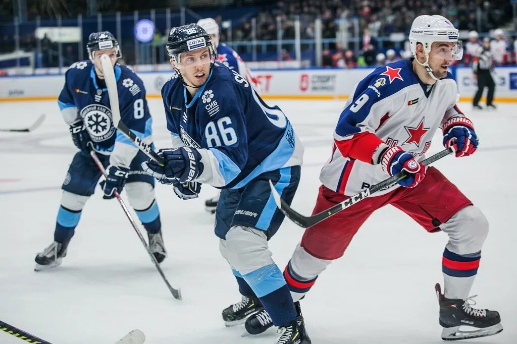 Динамо сибирь хоккей. Хк амур логотип. Сибирь динамо минск драка. Хоккей сибирь. Арсений хоккеист 81.