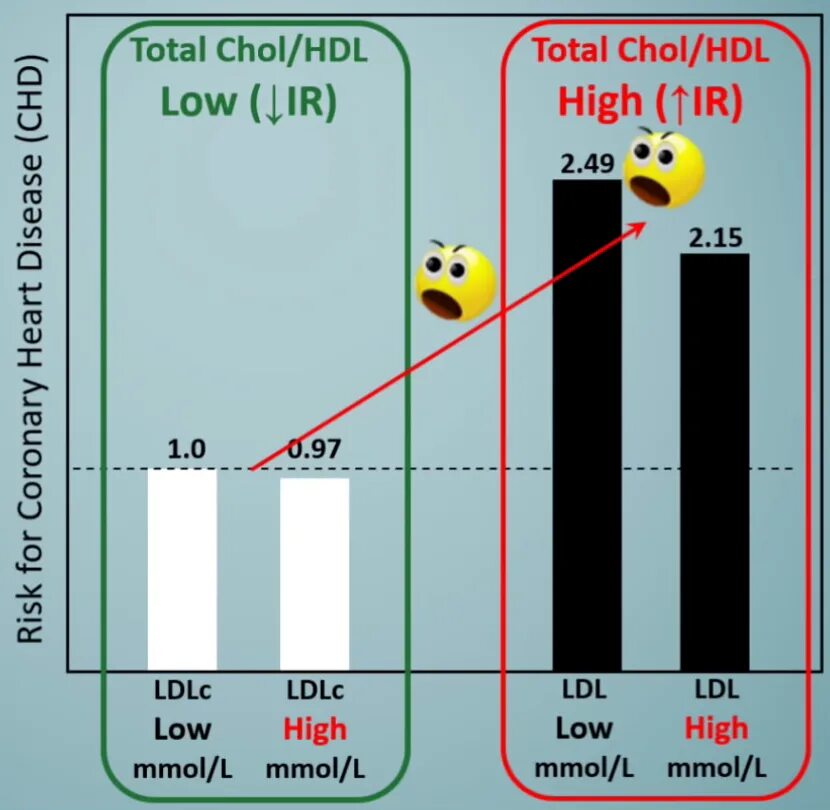 Total cholesterol LDL. HDL/Chol что это. TC HDL TG LDL. Survivor  LDL как играть.