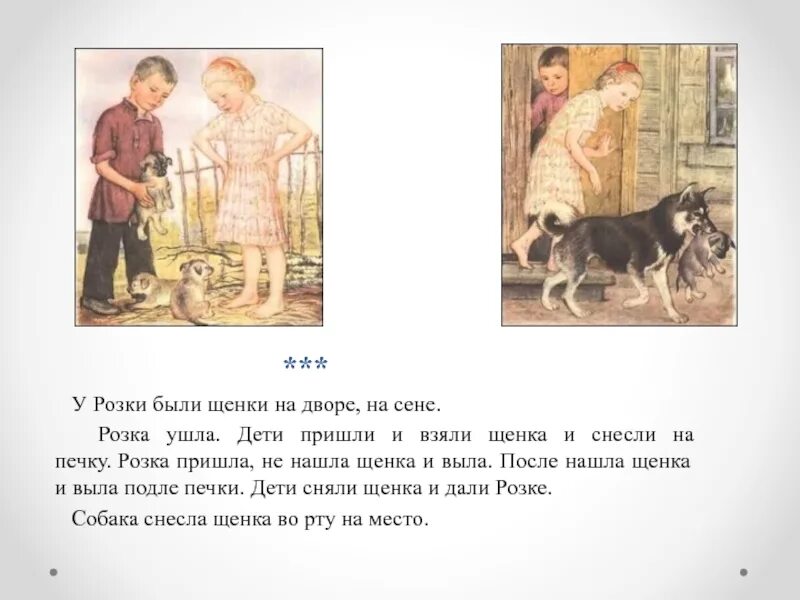 Толстой был у пети и миши конь. Рассказ л. Толстого у розки были щенки. Л толстой у розки были щенки текст. Нашли щенка рассказ. Рассказ подарок про щенка.