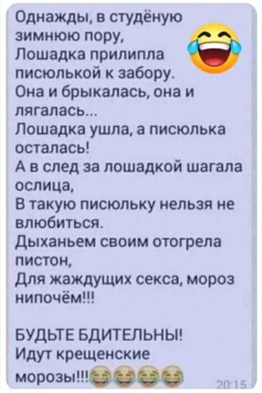 Однажды в Студёную зимнюю пору лошадка примерзла к забору. Однажды в студеную зимнюю пору лошадка примерзла пиписькой к забору. Стих про лошадку примерзла к забору. Однажды в студеную зимнюю пору лошадка прилипла.