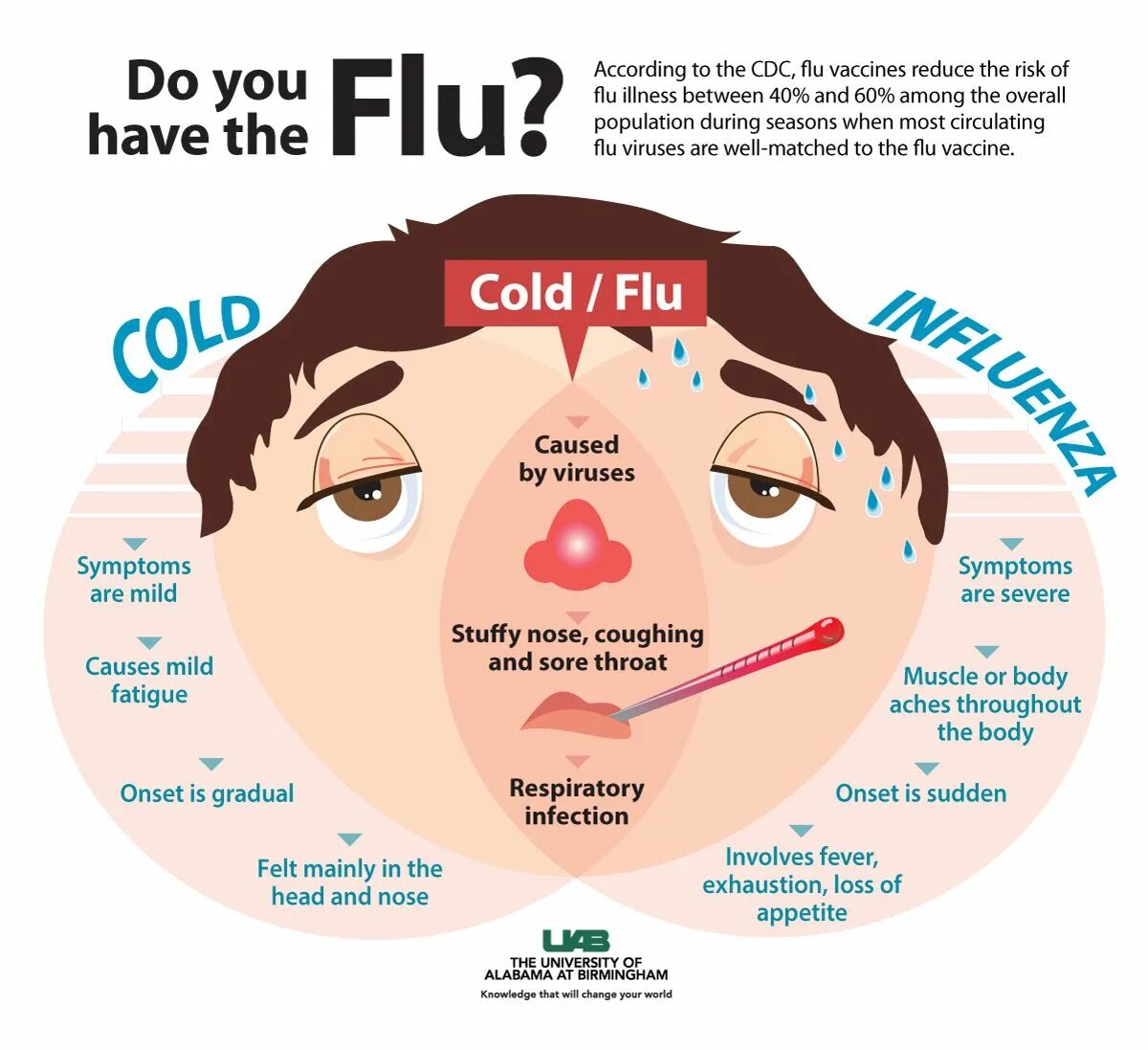 I think i am a cold. Illness disease разница. Cold vs Flu. Disease illness Sickness разница. Cold Flu разница.