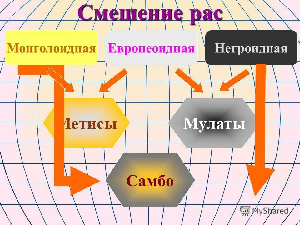 Процесс смешения рас. Процесс смешения рас