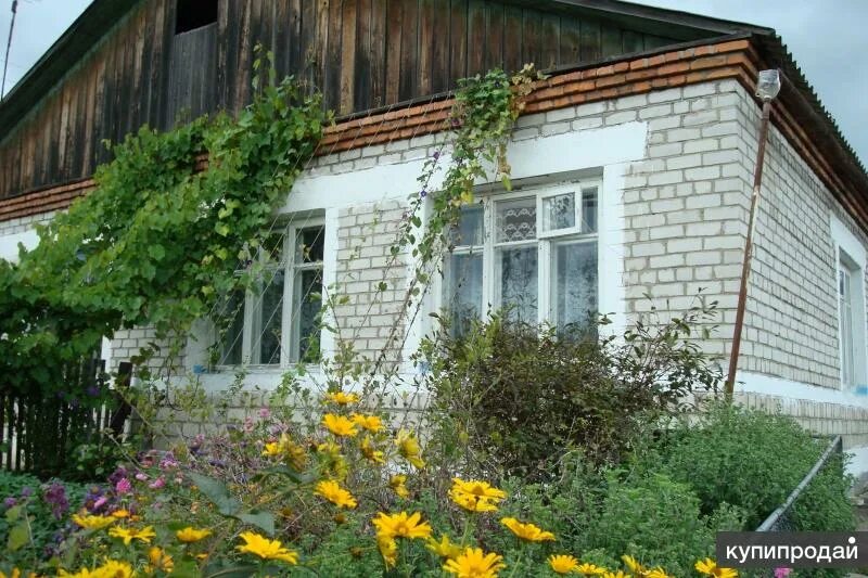 Совхоз Янтарный Партизанск. Партизанск Приморский край недвижимость. Дома в Партизанске. Форпост Партизанск. Купить дом в партизанске приморском крае