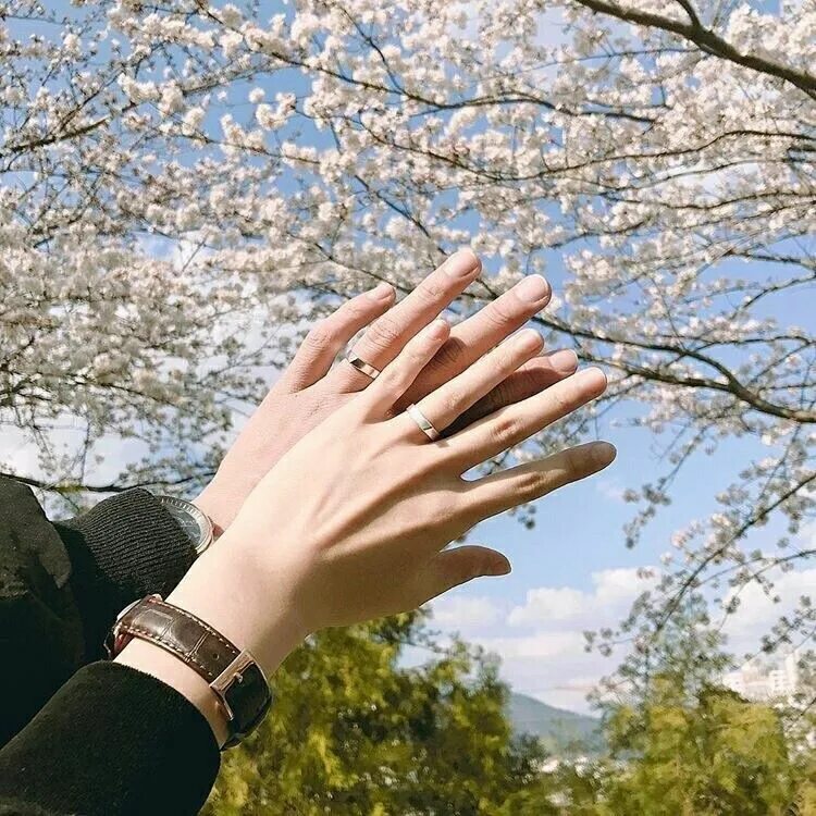 Красивая рука девочка. Руки Эстетика. Ладонь Эстетика. Корейские руки. Красивые руки корейцев.