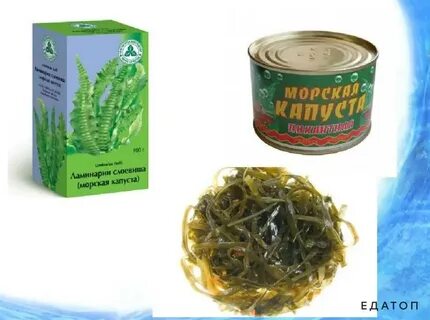 Можно собаке морскую капусту