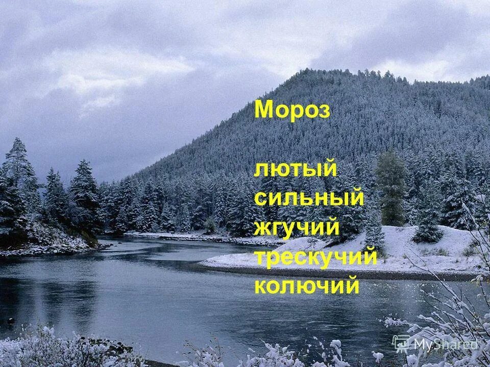 Севера песня родная. Здравствуй гостья зима просим милости к нам. Мороз силён и колюч. Зима гостья расстилай Мороз песни севера.