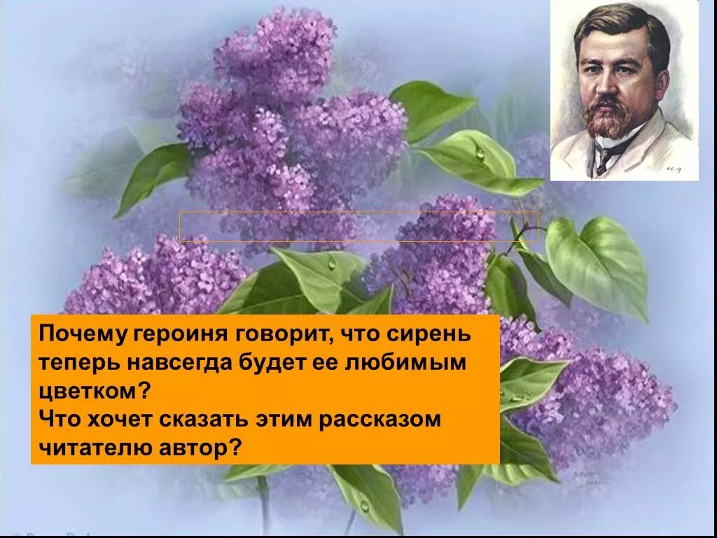 Куприн цветы сирени. Куприн сиреневый куст. Верочка Алмазова куст сирени.