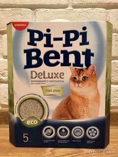 Pi pi bent deluxe