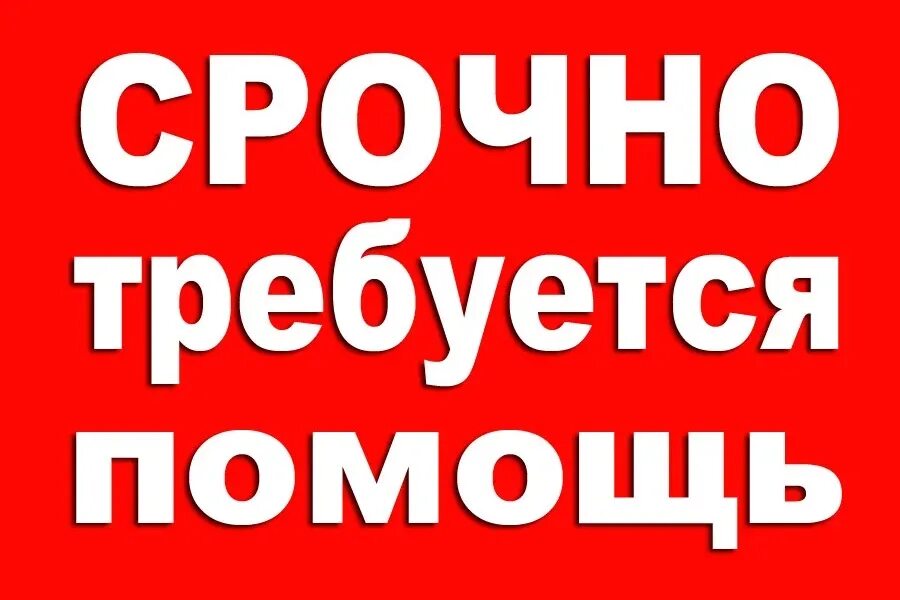 А по могите