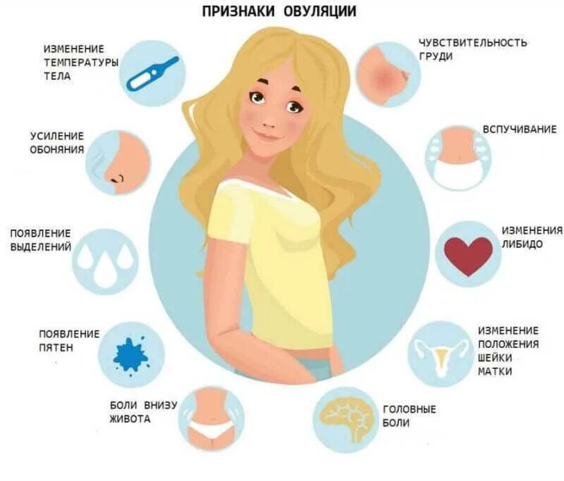 Овуляция что происходит с женщиной. Овуляция симптомы. Признаки овуляции. Что такое овуляция у женщин. Симптомы в день овуляции у женщин.