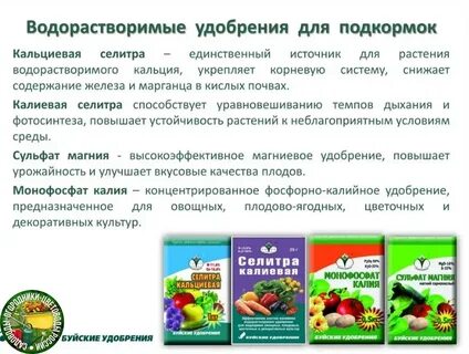 Какое удобрение необходимо