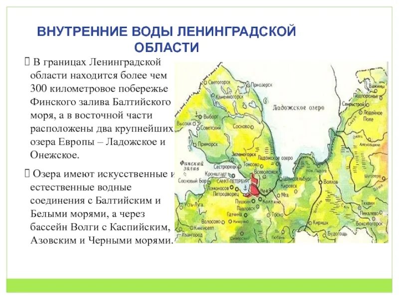 Информация о ленинградской области. География Ленинградской области. Ленинградская область презентация. Рельеф Ленобласти. Ленинградская область описание.