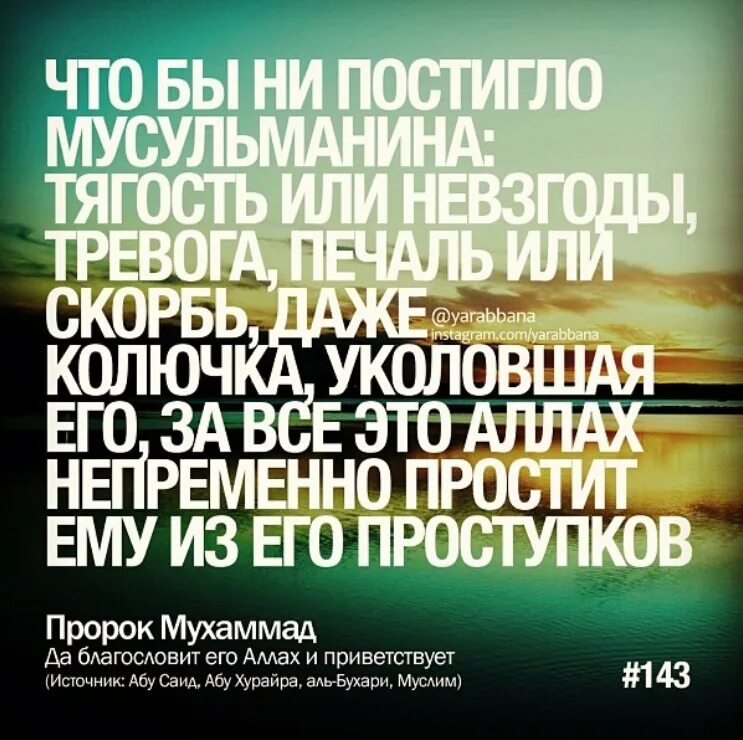 Хадисы про суры. Мусульманские хадисы. Мусульманские высказывания. Высказывания пророка. Цитаты из Корана.