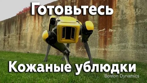 Кожаные ублюдки