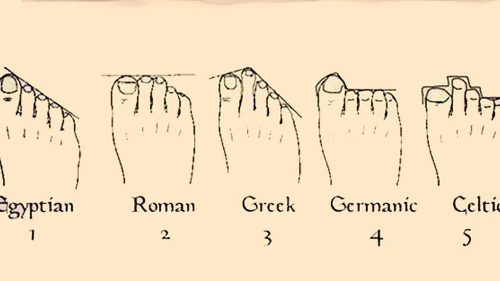 Типы стопы человека. Форма стопы Греческая Римская и Египетская. Греческая форма стопы. Типы стопы. Греческая стопа Римская стопа Египетская стопа.