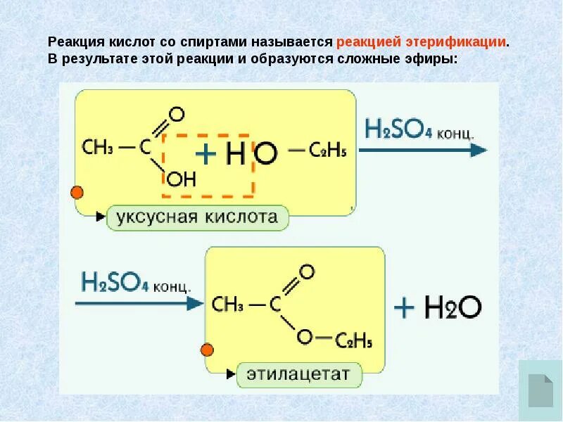 Фенол реакция этерификации. Этанол образование сложных эфиров. Формула реакции этерификации сложных эфиров. Спиртовой гидролиз