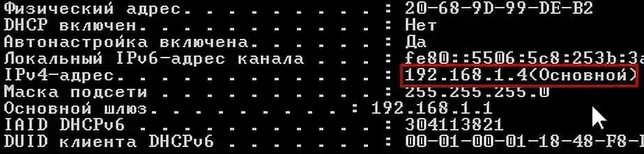 Юридический и физический адрес. IP-адрес. Рандомный айпи. Рандомные айпишник. Рандомные айпи адреса.