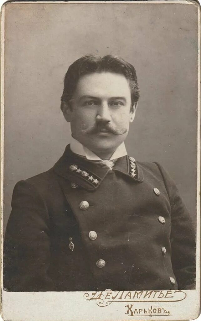 коллежский асессор толмачева евдокия петровна. коллежский советник 19 века.