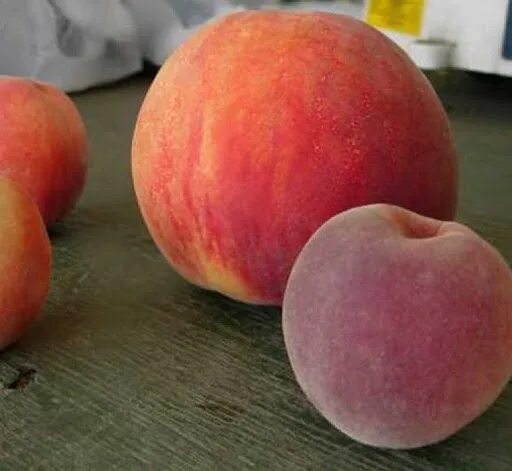 Персик лаурол описание сорта фото отзывы Персик Лаурол. /peach Laurol/ Очень поздний и крупный. Урожай 2021. Отзыв и виде