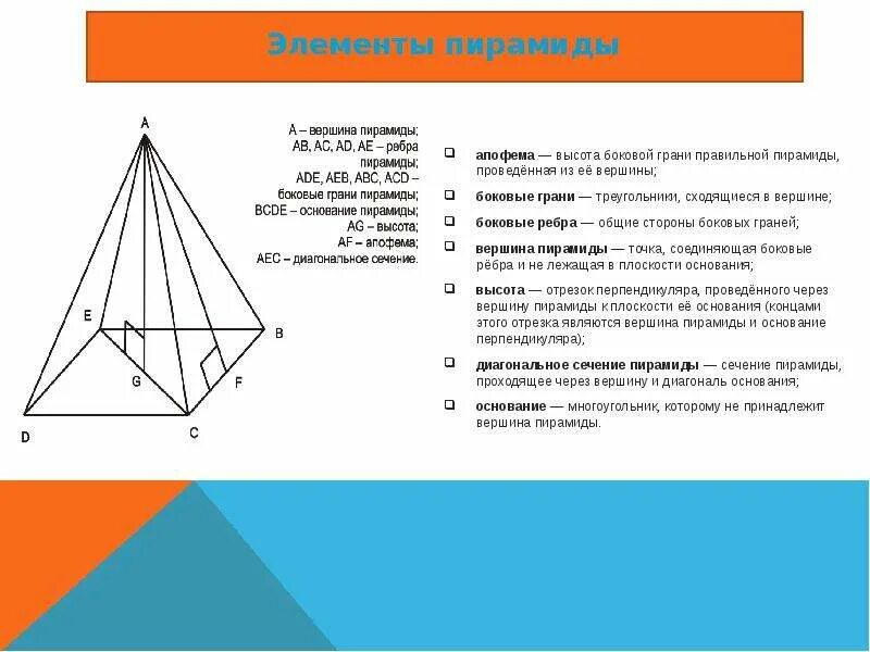 Сколько ребер имеет пирамида. Апофема правильной четырехугольной пирамиды. Четырехугольная пирамида грани ребра. Грани четырехугольной пирамиды. Правильная четырехугольная пирамида элементы.