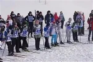 Гр 5 визинга. Лыжня россии визинга. визинга спорт. лыжня россии 2025 в визинге.