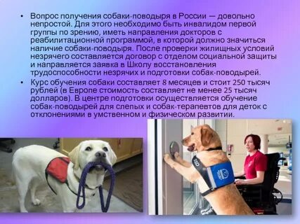 Методы подготовки собак