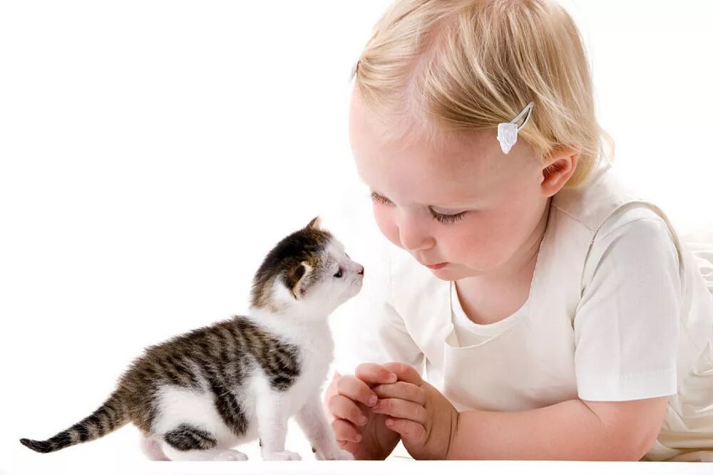 Котенок играет малыша. Домашние животные для детей. Котёнок-ребёнок. Кошка для детей. Дети с животными.