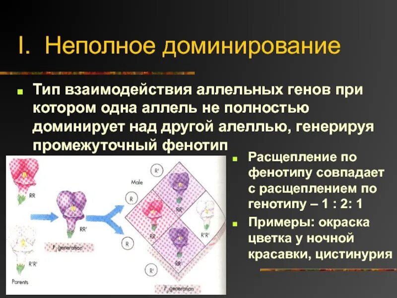 Гибрид это в генетике. Расщепление по фенотипу при неполном доминировании. Промежуточный фенотип. Неполное доминирование f1 f2. Cycs в генетике.