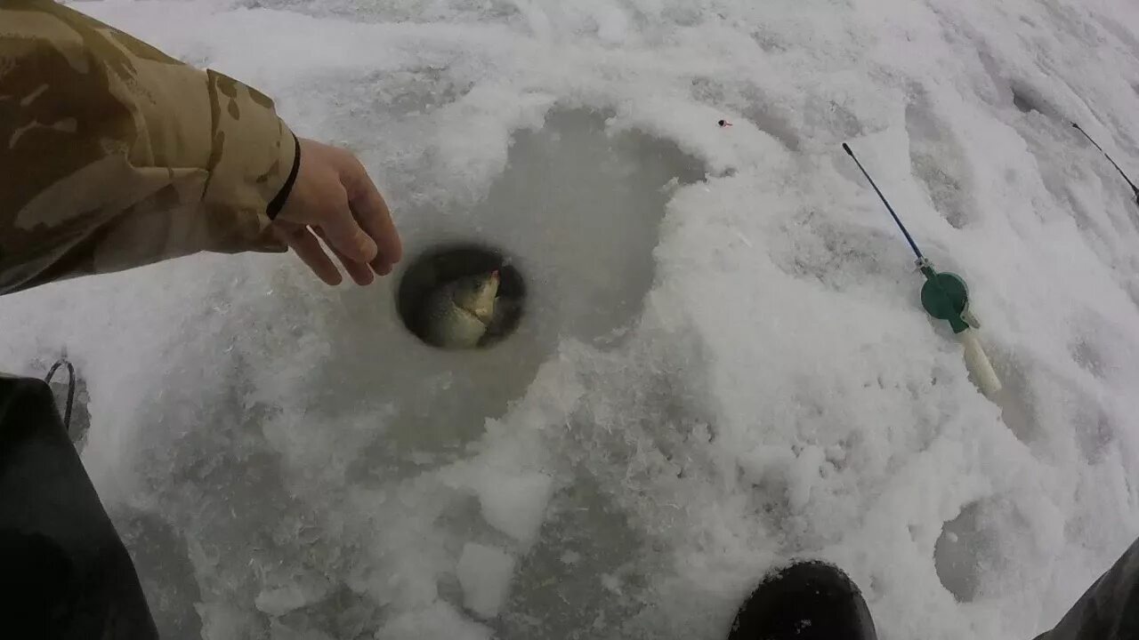 Зимняя ловля видео. Зимняя рыбалка на карася на прудах. Мормышка на карася зимой на пруду. Ловля карася зимой в палатке. Ловля карася зимой на пруду.