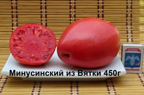 Минусинские томаты описание характеристика