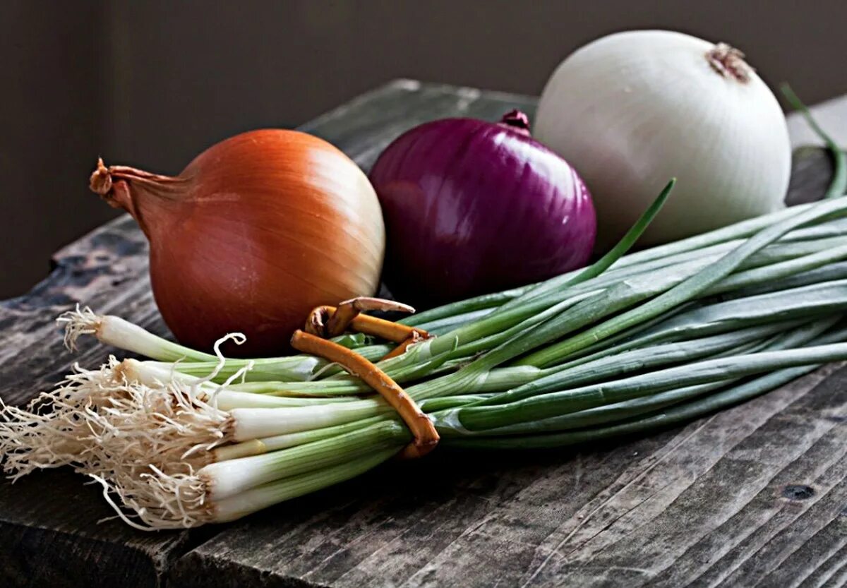 Mixed onion. Лук (репчатый, шалот, порей, шнитт-лук, порей). Лук цибуля. Лу. Luik.
