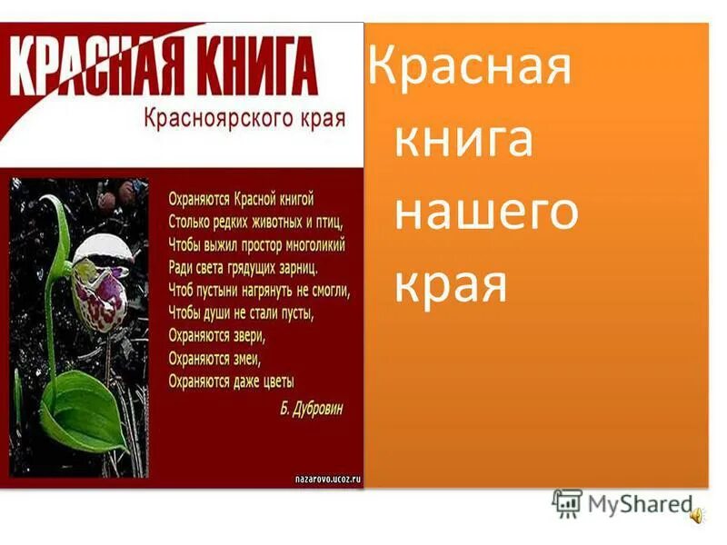 Проект 4 класс красная книга нашего края. Презентация на тему красная книга нашего края. Презентация красная книга нашего края. Проект красная книга нашего края. Проект красная книга 4 класс.