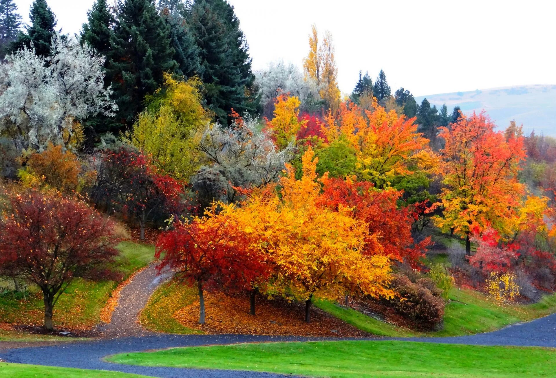 Осень. Красивая осень. Природа осень. Разноцветная осень.