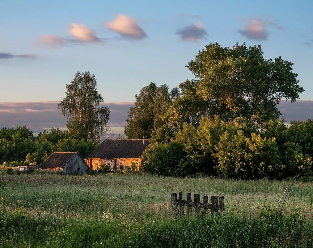 Деревня ли. Пейзаж деревни. Утро в деревне. Летняя деревня. Раннее утро в деревне.