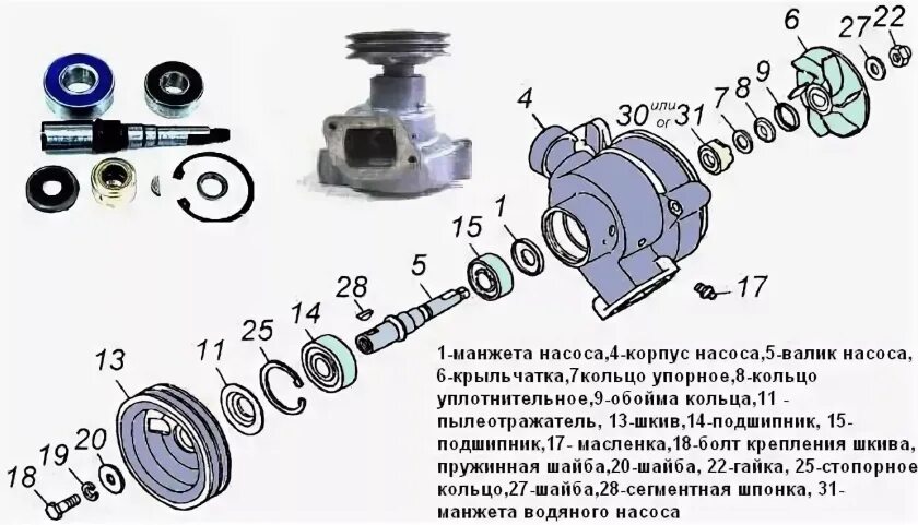 Схема сборки помпы для воды Основные детали насоса: найдено 82 картинок