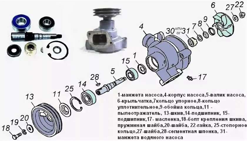 Схема сборки водяного насоса КАМАЗ 5320. Схема сборки помпы КАМАЗ 740. Сборка помпы КАМАЗ 740. Помпа водяная КАМАЗ 740 схема. Разборка сборка камазов