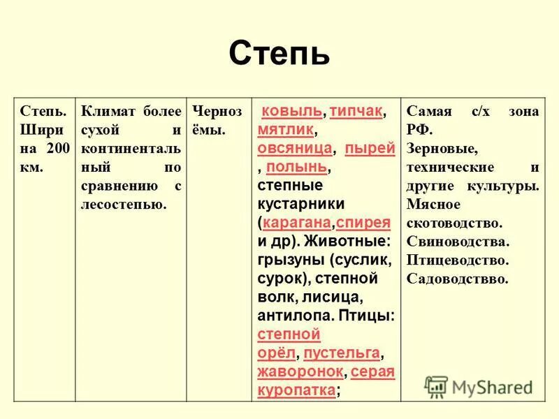 Степь россии характеристика природной зоны