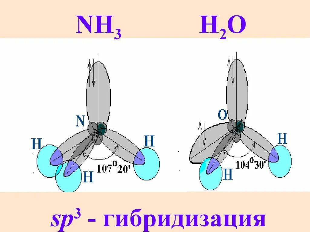 3 типа гибридизации. Аммиак гибридизация орбиталей. Тип гибридизации в молекуле nh3. Sp3 гибридизация молекулы аммиака. Sp3 гибридизация воды.