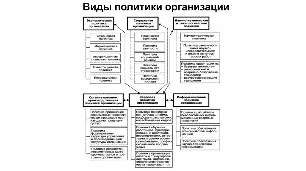 Что является политикой организации. Виды политик предприятия. Виды политики организации. Виды политических организаций. Политика виды политики.