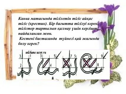 Оқшауланған ең жақсы үй минеттері