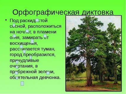 Раскидистый как пишется